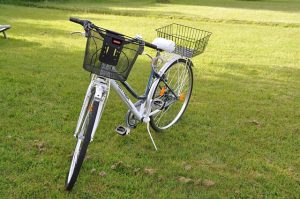 bike-basket-469209_640